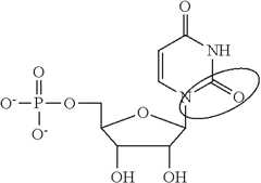 Figure US20130237592A1-20130912-C00088