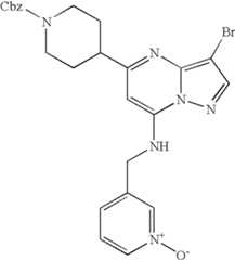 Figure US07119200-20061010-C01882