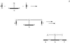 Figure US08206901-20120626-C00002