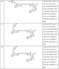 Figure BDA0003027048450003731