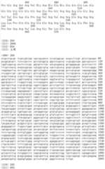 Figure IDA00002091897102751