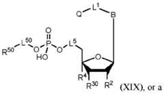 Figure imgf000143_0001