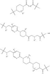 Figure US11364300-20220621-C00376