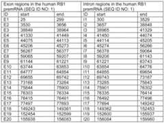Figure imgf000011_0001