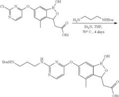 Figure US08343944-20130101-C00363