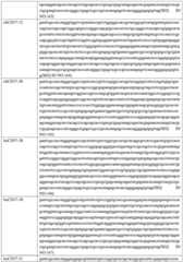 Figure GDA0002332994560000771