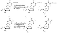 Figure imgf000013_0001