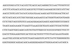 Figure 109103078-A0101-12-0115-83