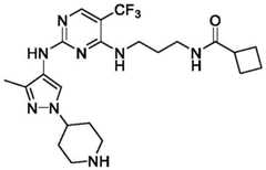 Figure BDA0003508720790001502