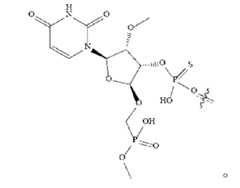 Figure 109145408-A0305-12-0065-6