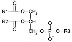 Figure imgf000031_0001