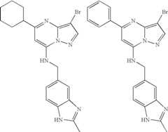 Figure US08580782-20131112-C00044