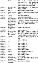 Figure BDA0000057170160000391