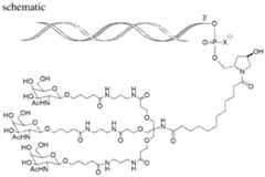 Figure imgf000008_0001