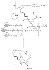 Figure imgf000161_0001