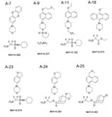 Figure 112015019095925-pct00106