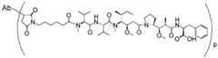Figure imgf000019_0002