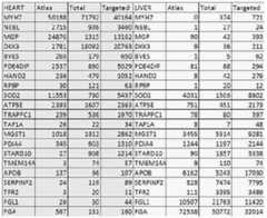 Figure imgf000186_0001