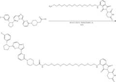 Figure US11969472-20240430-C00262