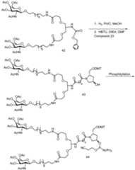 Figure imgf000524_0001