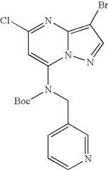 Figure US07119200-20061010-C01563