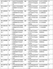 Figure imgf000038_0001