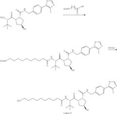 Figure US11969472-20240430-C00124