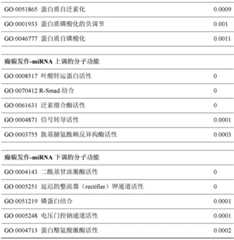 Figure BDA0003347010100000451