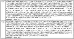 Figure imgf000043_0002