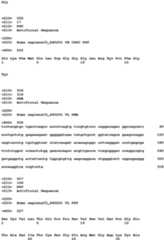 Figure imgb0197