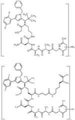 Figure imgf000984_0001