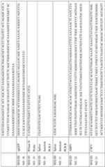 Figure imgf000091_0001