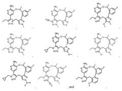 Figure imgf000052_0001
