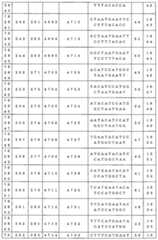 Figure 0007646616000147