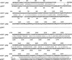 Figure A9981410800871