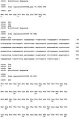 Figure imgb0085