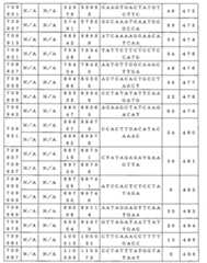 Figure 0007646616000045