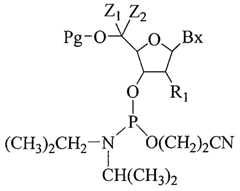 Figure imgf000005_0001