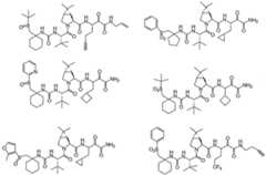 Figure imgf000305_0002