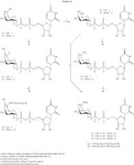 Figure US07125843-20061024-C00123