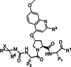 Figure A2004800399470017C2