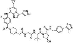 Figure BDA0002964098100001442