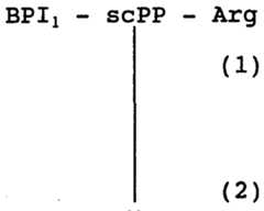 Figure imgf000015_0001