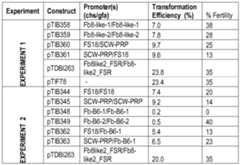 Figure imgf000017_0001