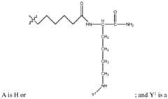 Figure imgf000068_0002