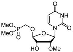 Figure imgf000062_0002