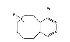 Figure imgf000111_0002