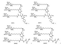 Figure 110121932-A0202-13-0009-264