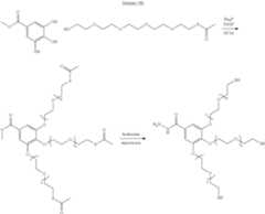 Figure US09310373-20160412-C00030