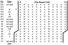 Figure imgf000036_0001